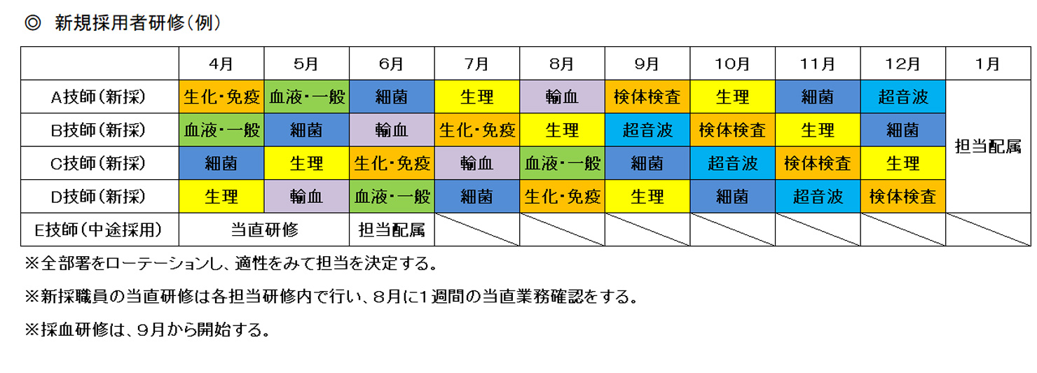 新規採用者研修予定表（例）
