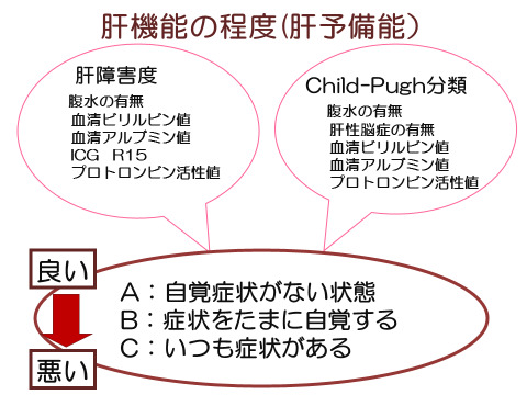 肝機能の程度